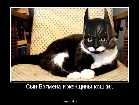 Сын Бэтмена и женщины-кошки..