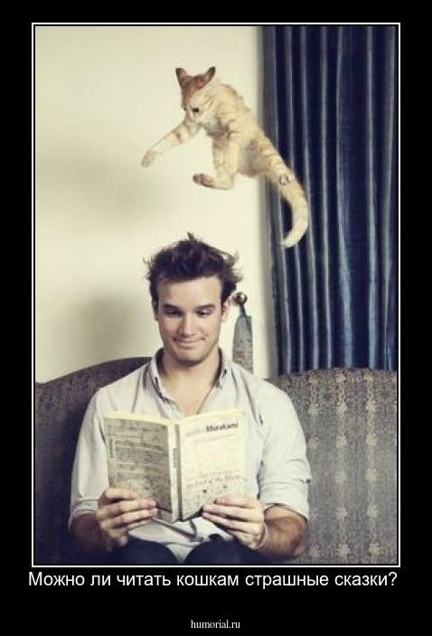 Можно ли читать кошкам страшные сказки? 