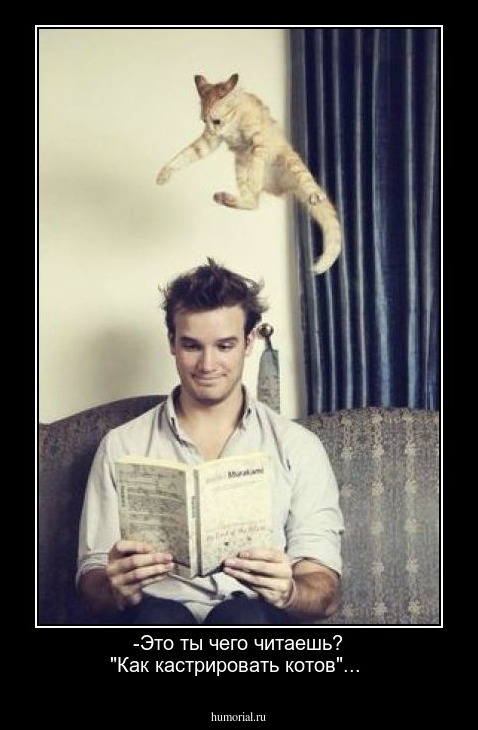 -Это ты чего читаешь? "Как кастрировать котов"...