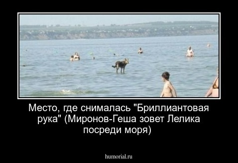 С причала рыбачил апостол. С причала рыбачил Апостол Андрей. Апостол Андрей ходил по воде. С причала рыбачил Апостол Андрей приколы. Место где Миронов ходил по воде.