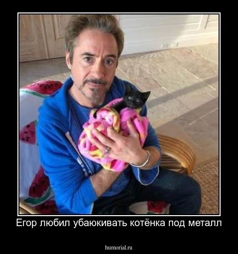 Егор любил убаюкивать котёнка под металл