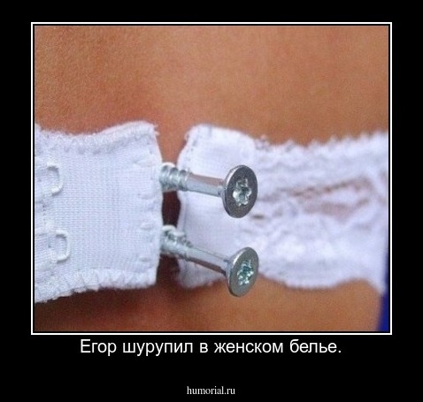 Егор шурупил в женском белье.