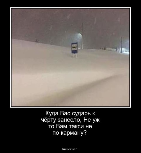 Эх где. Куда вас сударь к черту занесло. Картинки куда вас сударь к черту занесло. Куда вас сударь занесло. Куда вас черти занесло.