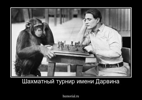 Шахматный турнир имени Дарвина