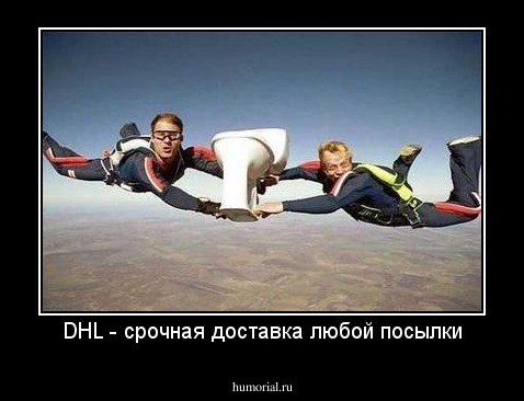 DHL - срочная доставка любой посылки