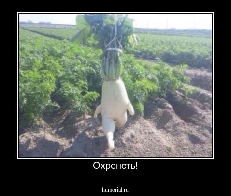 Охренеть!