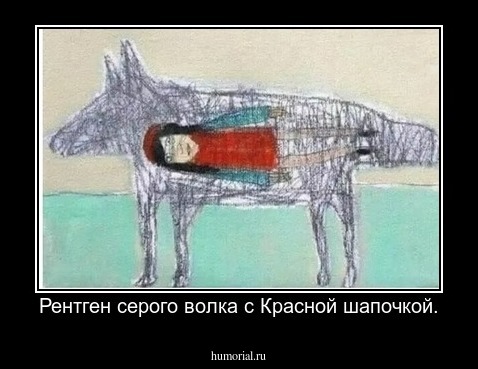 Рентген серого волка с Красной шапочкой.