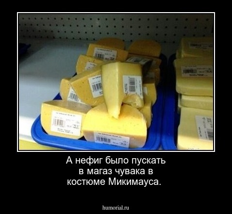 Сон приснился сыр. Монастырский сыр продают. Святым духом сыт не будешь. Продаётся сыр Информатика. Девушка продает сыр реальное.