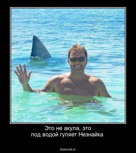 Это не акула, это под водой гуляет Незнайка