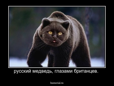 русский медведь, глазами британцев. 