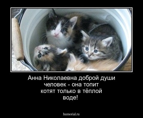 Анна Николаевна доброй души человек - она топит котят только в тёплой воде!