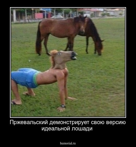 Пржевальский демонстрирует свою версию идеальной лошади