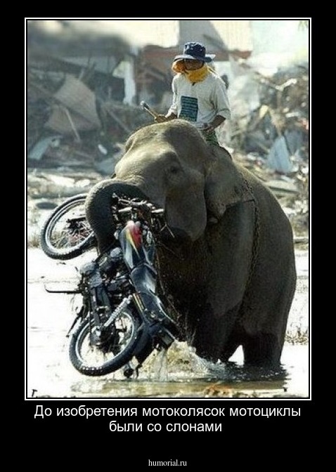 До изобретения мотоколясок мотоциклы были со слонами