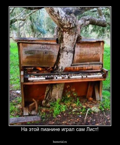  На этой пианине играл сам Лист!