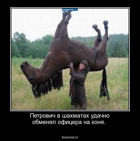 Петрович в шахматах удачно обменял  офицера на коня.