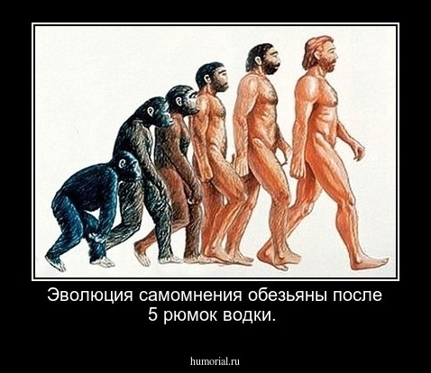 Эволюция самомнения обезьяны после 5 рюмок водки.
