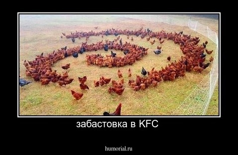 забастовка в KFC 