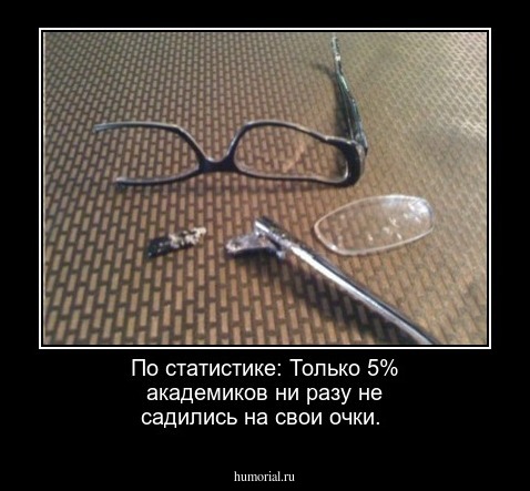  По статистике: Только 5% академиков ни разу не садились на свои очки.