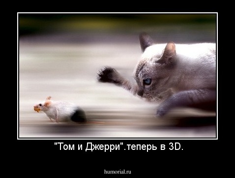  "Том и Джерри".теперь в 3D.