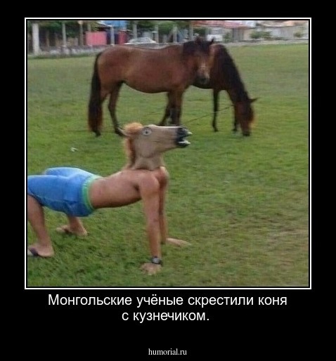 Монгольские учёные скрестили коня с кузнечиком.