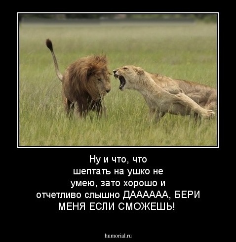 Зато я хорошо умею. Шепни на ушко. Шепнуть на ушко. Нашептывает на ушко прикол. Шепчет прикол.