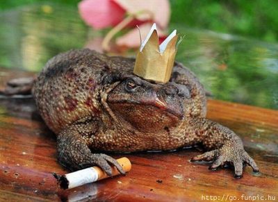 Царевна-лягушка, отчаявшись ждать принца, пошла по соломинкам