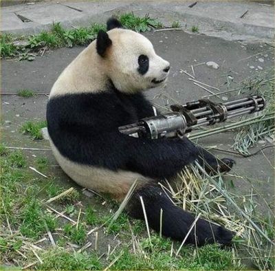 Эта панда агрессивная... падла.