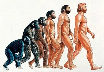 Справа на лево: Эволюция человека во время празднования нового года...