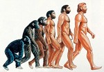 Эволюция самомнения обезьяны после 5 рюмок водки.