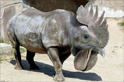 Московский зоопарк завёс партию куро -носорогов.К местным охраникам они отнеслись как к родным
