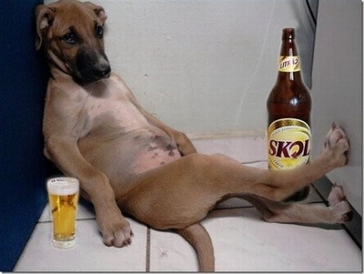 Вот такие собаки у алкоголиков.