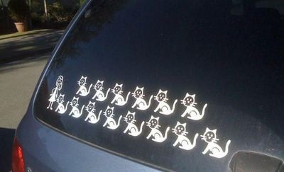По статистике кошек на дороге больше чем девочек...
