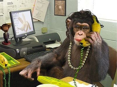 "Алло, офис компании "Юнайтед банан трейд" на проводе".
