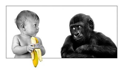 Иванушка не ешь банан, а то обезьяной станешь как я