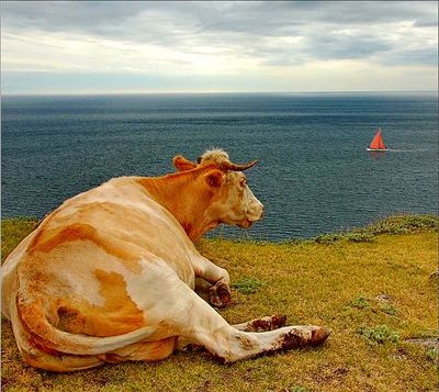 Так и живем - все ждем у моря погоды...