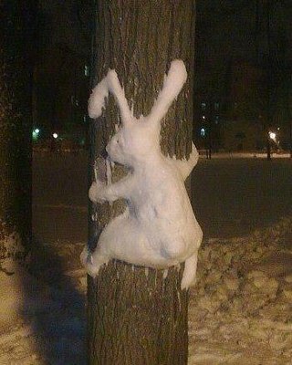 "Вася, гляди, заяц на дереве!!!" "Я не заяц, я белочка".