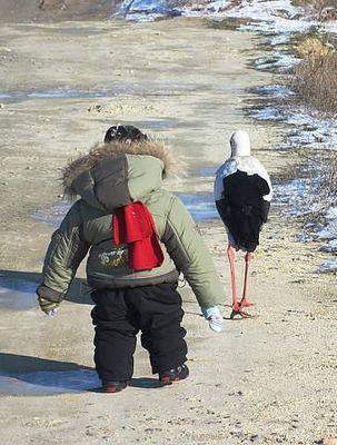 Слышь пеликан, за пивом сгоняй