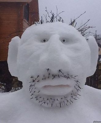 снежный человек существует! 