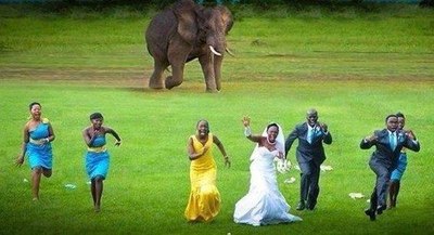 В свадебном марафоне победила невеста!