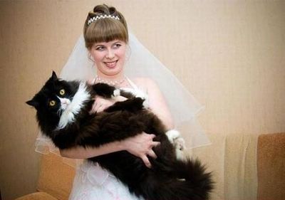 Когда давал объявление: "очаровательный кот ищет невесту"- такого точно не ожидал.