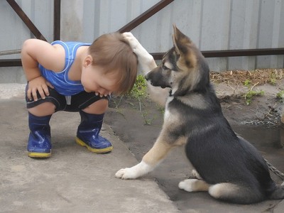 -прощаю, что наступил на лапу..