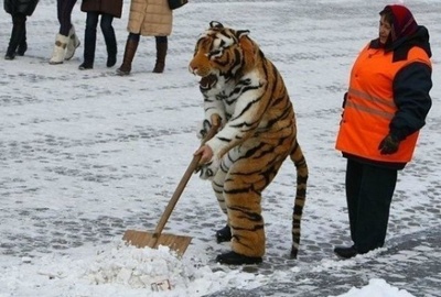 Новость дня! Горигосу дали роль Хищника!