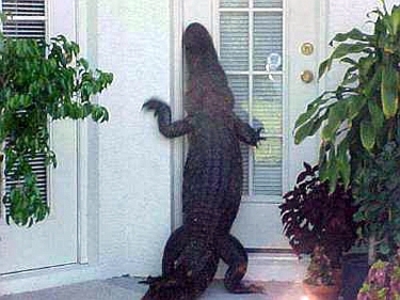 - Мам, тут мой опять пришел, стоит под дверями, слезы крокодиловы льет... Пустить?