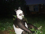 Миша Галустян входит в образ для озвучивания Кунг-фу панды