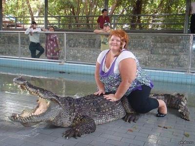 Крокодилиху  назвали Диета, теперь на неё кто только не садится.