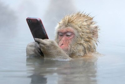 На планете обезьян сотовые уже давно водонепроницаемые.