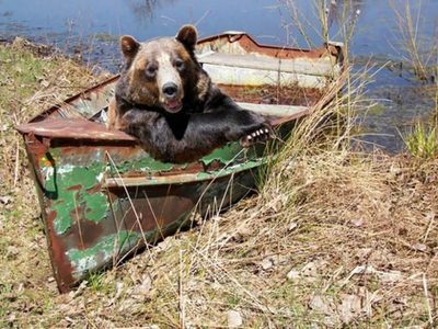 А я ещё и на велосипеде умею.