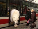 Такого про свою партию наслушался, аж поседел. 