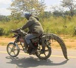 Крокодил Гена прокатил фанатку на своем мотоцикле 
