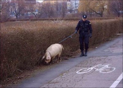 Полицейский-оборотень с собакой-оборотнем.